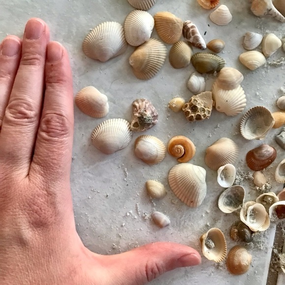 Custom shell bundle — PLEASE READ - Picture 7 of 16